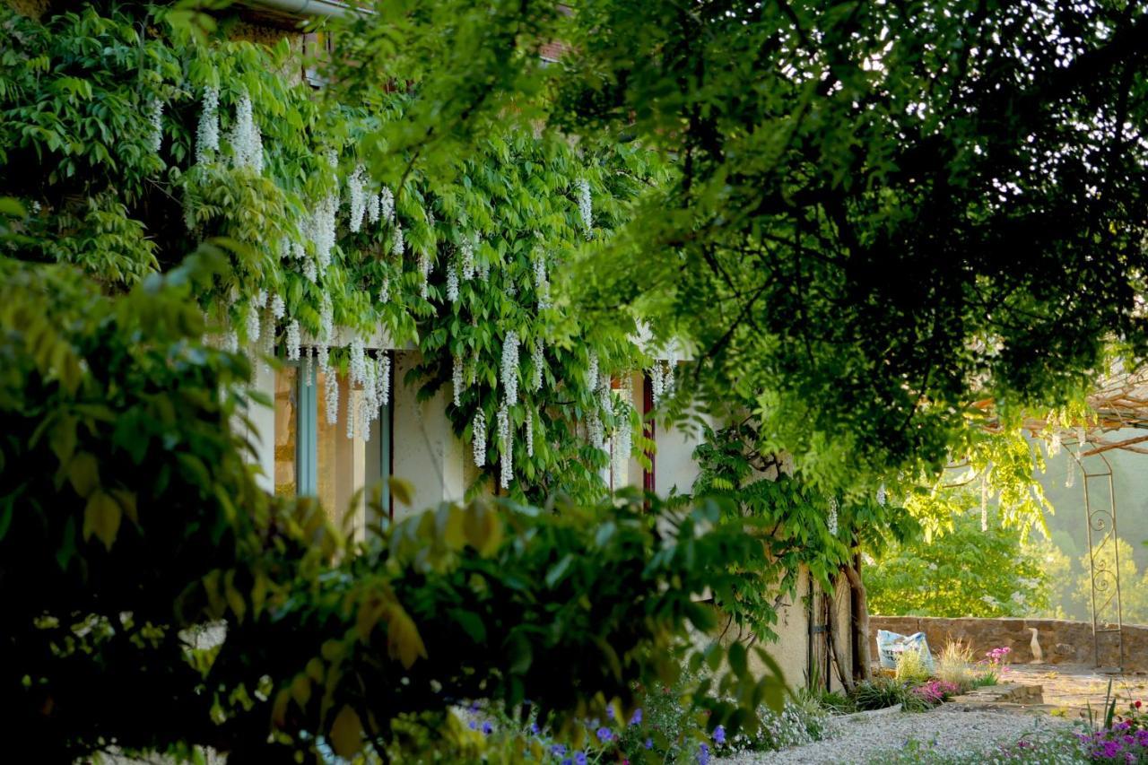 Chambres D'Hotes Secret Pyrenees Lasseube Exteriör bild
